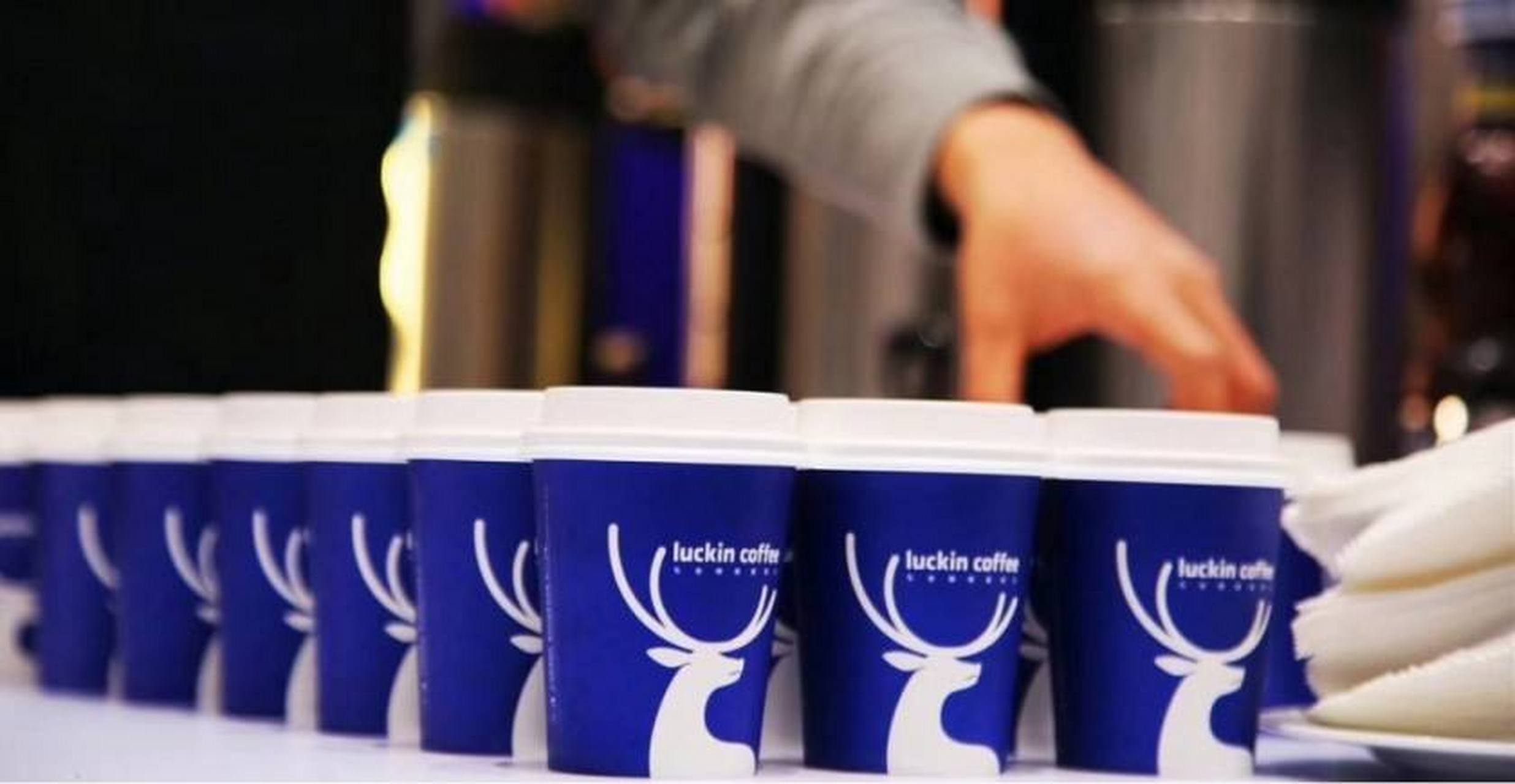 加盟瑞幸多少钱