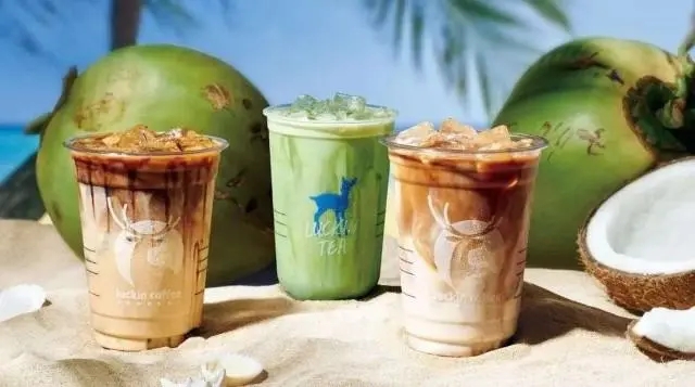 瑞幸咖啡加盟店需要多少钱费用